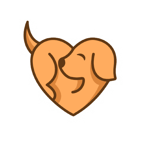 lorem ipsum test